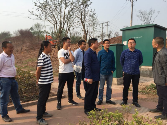 泸州绿化提升工程 泸州绿化提升工程